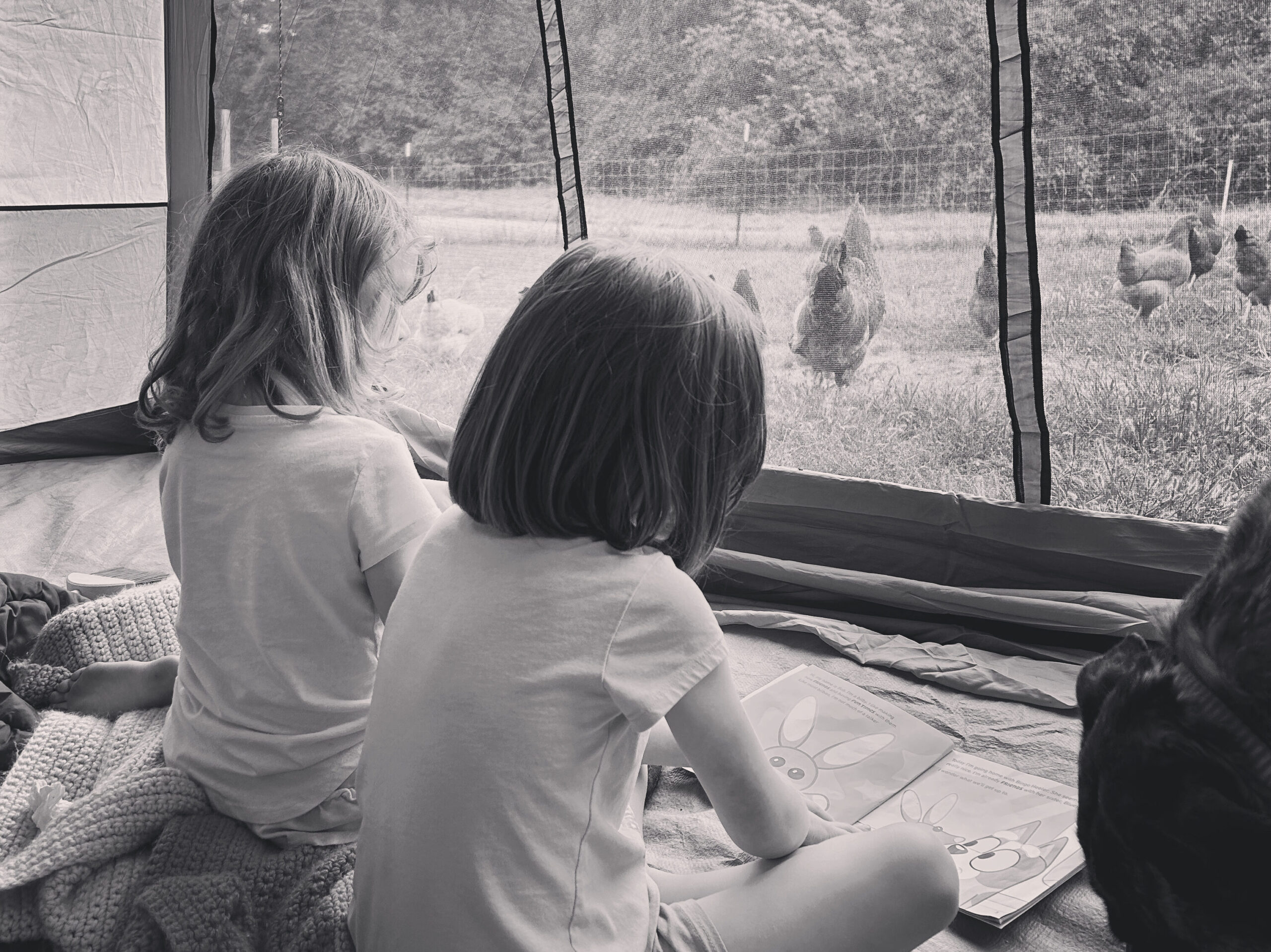 two children reading a book inside a tent, with chickens grazing outside of the tent